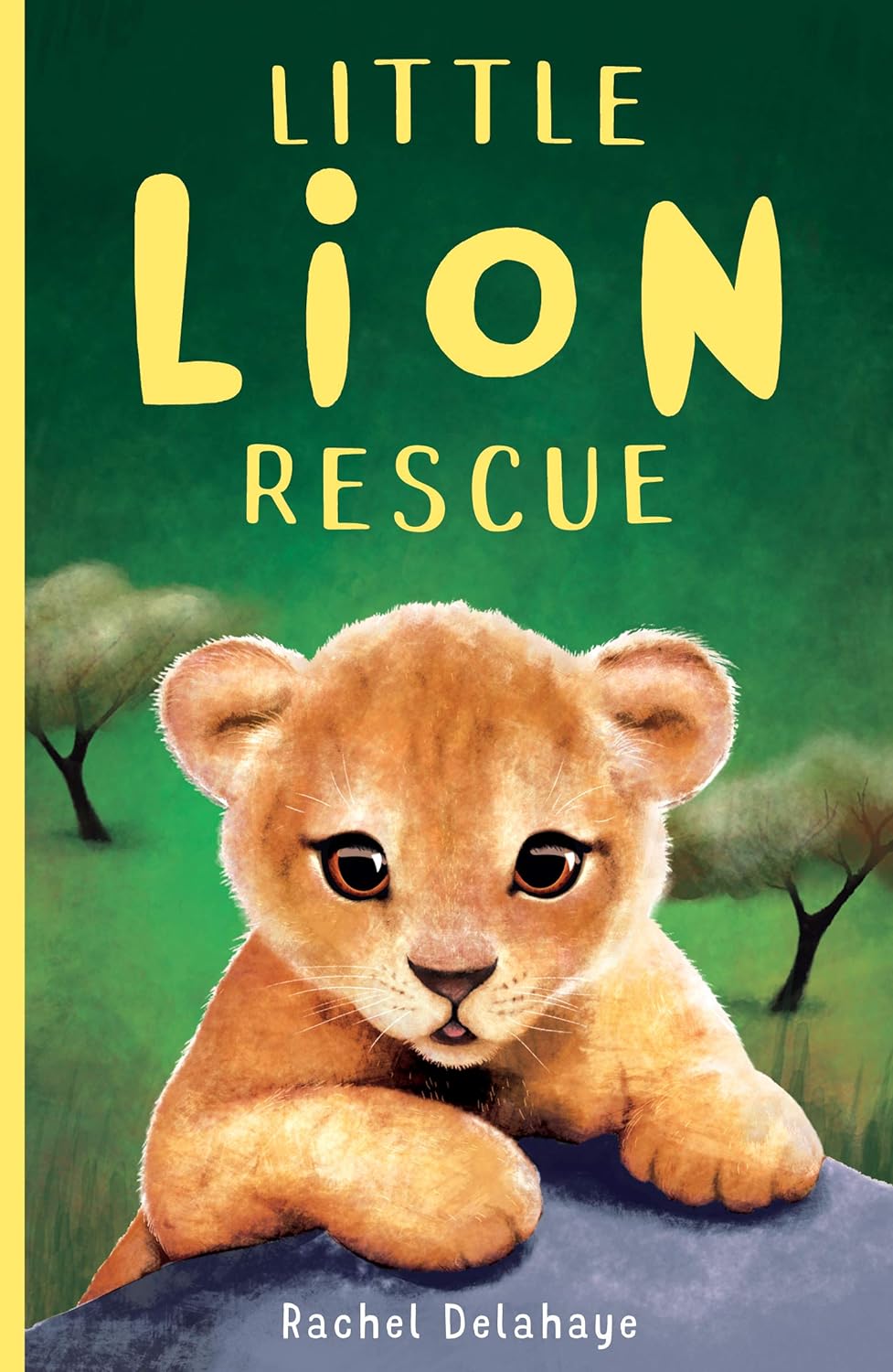 LITTLE ANIMAL RESCUE 1: LITTLE LION RESCUE