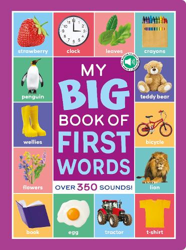 Multi-Sensor Sound Book - My Big Book of First Words Sound Book
