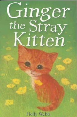 Ginger Stray Kitten